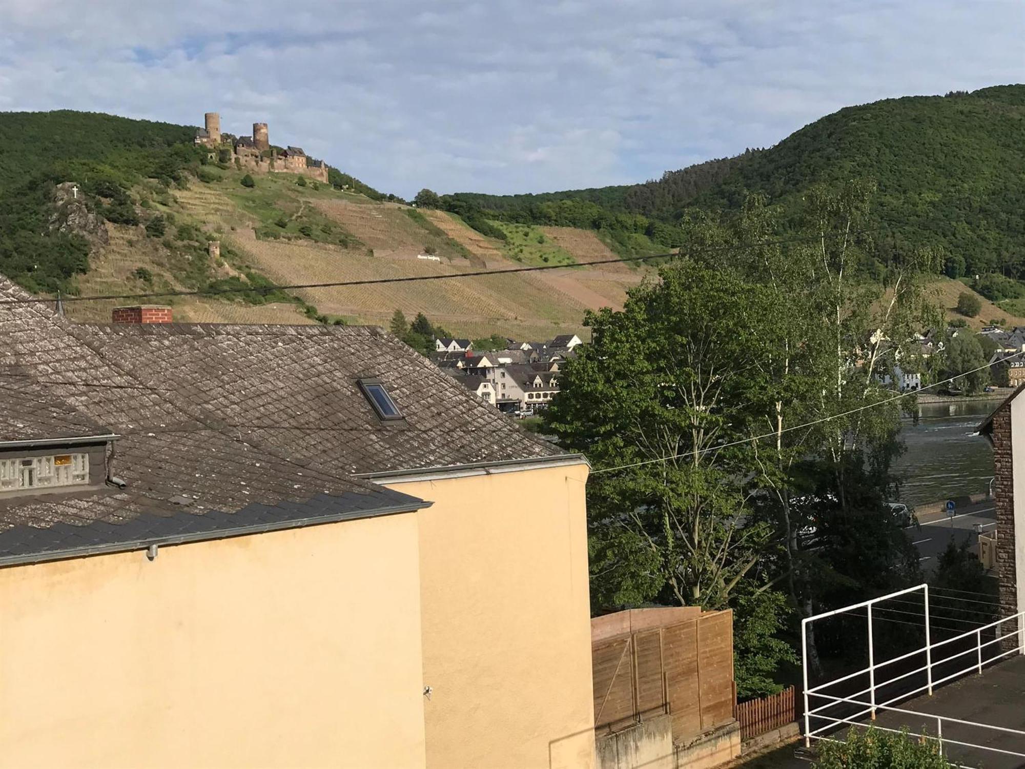 Bio-Ferienweingut Leyendecker Apartment Kattenes Exterior photo